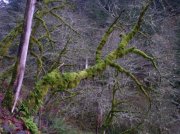 11.27.05 Nesmith Point 037 